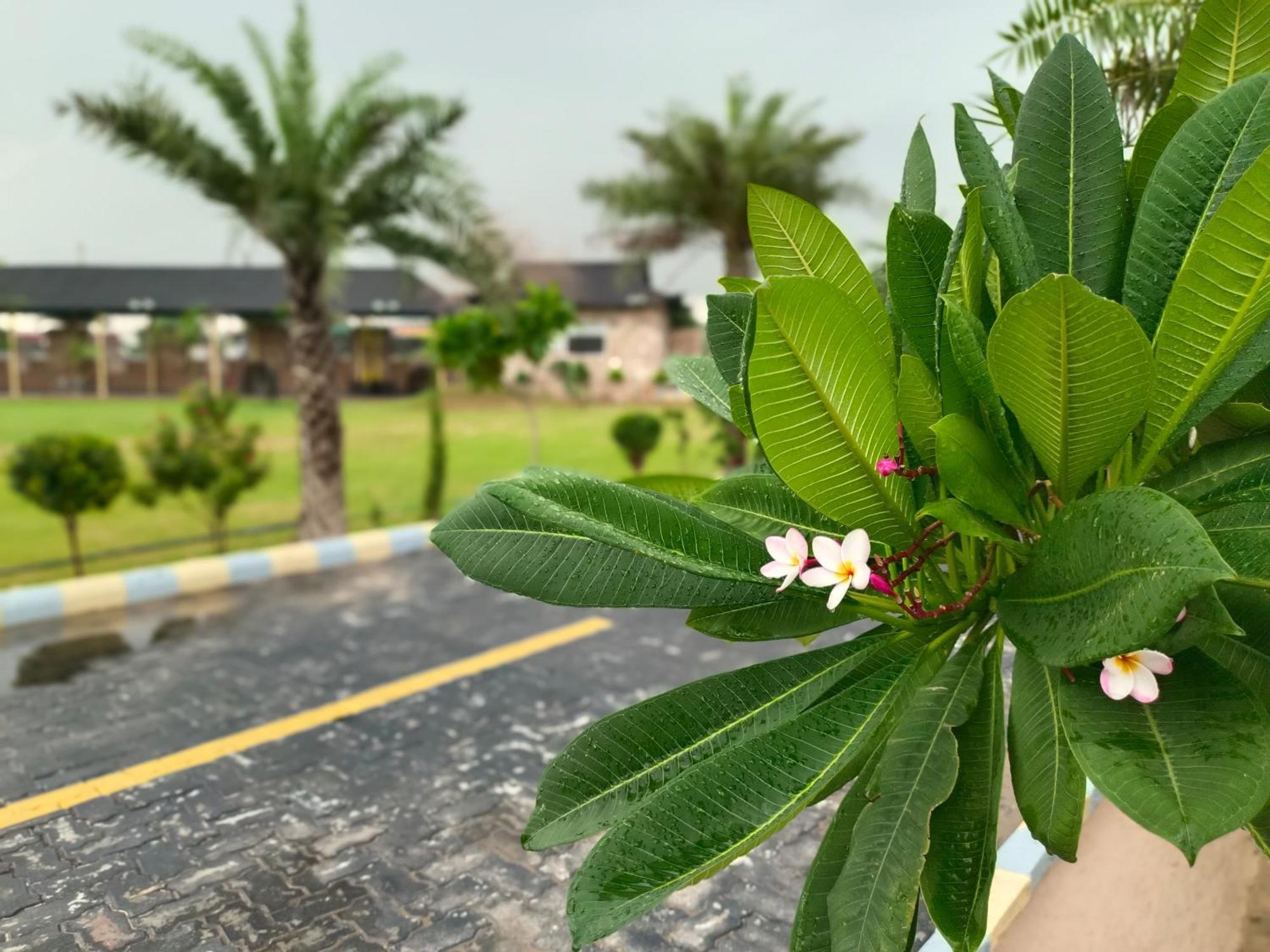 Royal Rajasthan Resort Sikar Exteriér fotografie